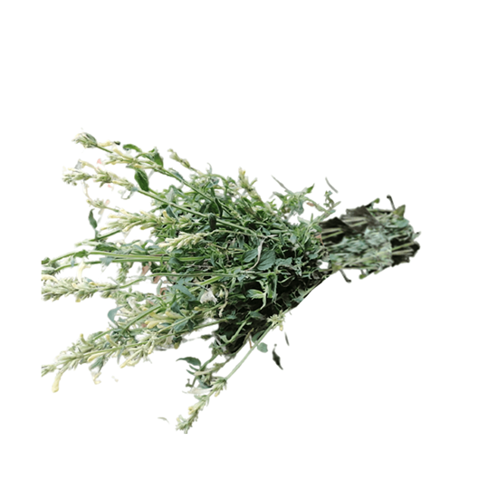 Imagen de Toronjil blanco manojo (300g aprox.)