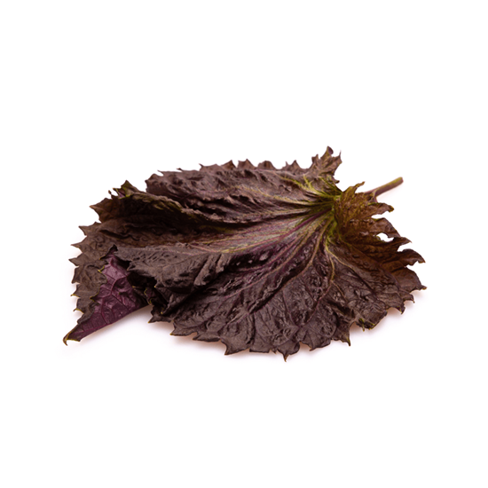 Imagen de Hoja de shiso (domo con 10 hojas)