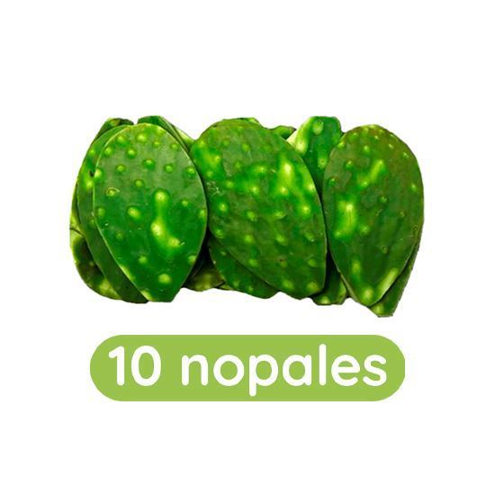 Imagen de Nopal cambray en bolsa con 10 pzas