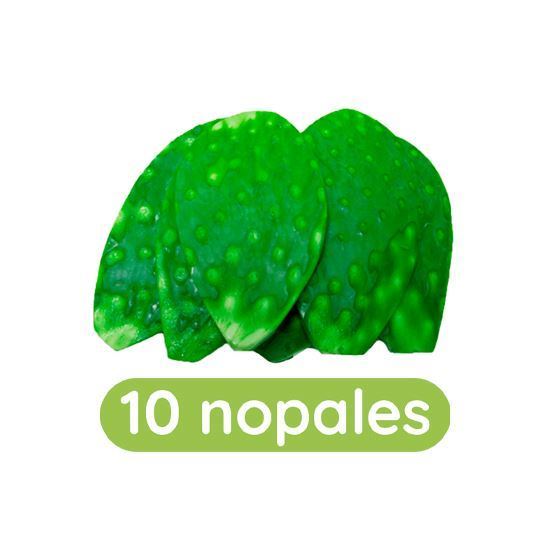 Imagen de Nopal limpio en bolsa con 10 pzas