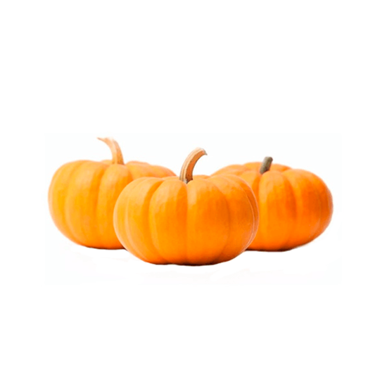 Imagen de Calabaza Halloween brujita baby