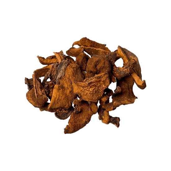 Imagen de Hongo gachupín deshidratado