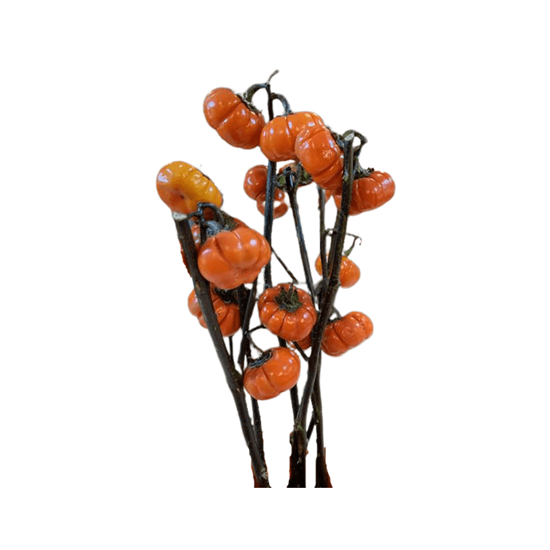 Imagen de Rama decorativa natural de calabacitas (pumpkin on a stick)