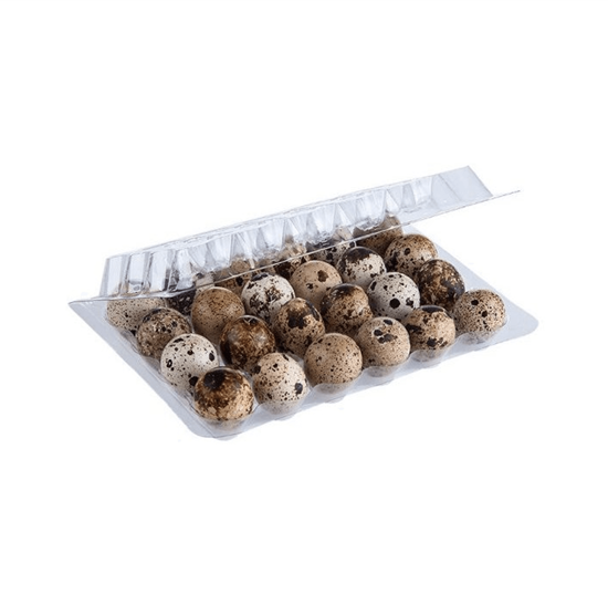 Imagen de Huevo de codorniz HR en domo 24 pzas