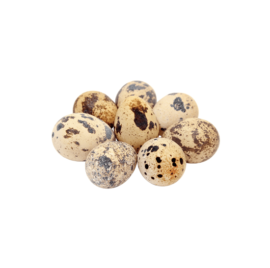 Imagen de Huevo de codorniz en domo 40 pzas