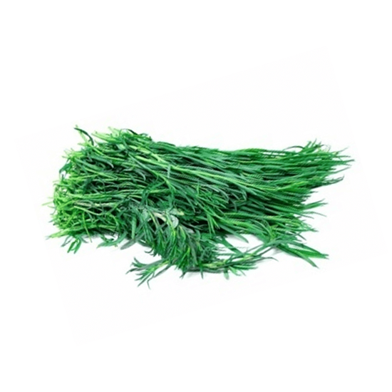 Imagen de Pipicha en manojo grande