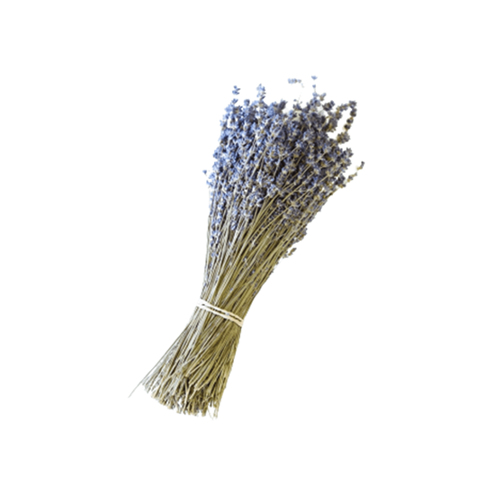Imagen de Té de lavanda en manojo grande