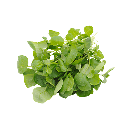 Imagen de Hoja de mastuerzo comestible en domo