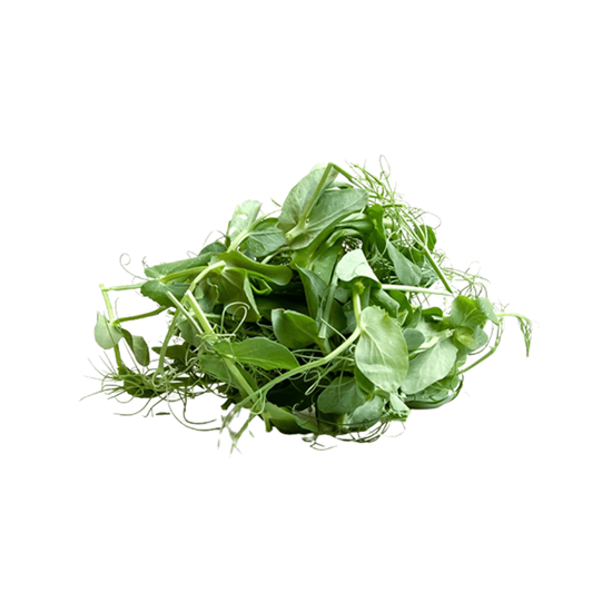 Imagen de Brote de chícharo en domo (30g aprox.)