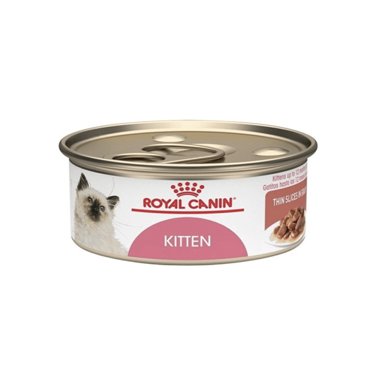 Imagen de Alimento húmedo para gatos Royal Canin Kitten para gatitos lata de 145g