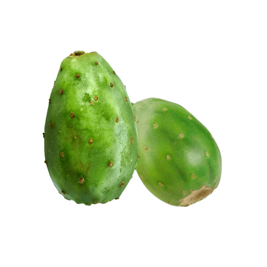 Imagen de Tuna blanca