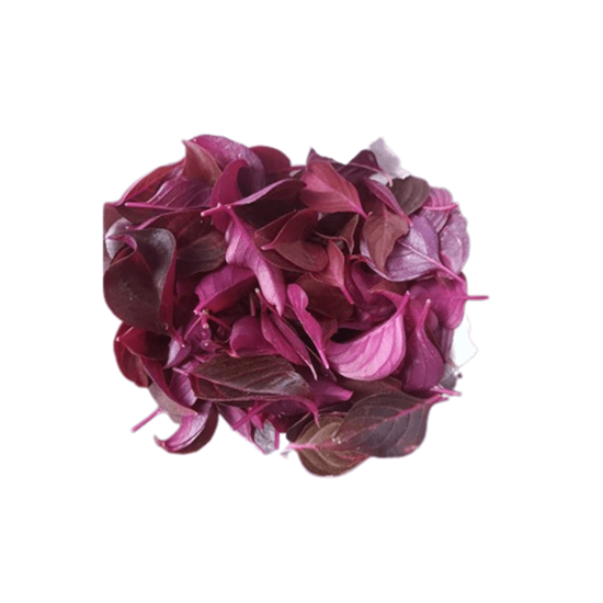 Imagen de Hoja tierna de amaranto comestible en domo