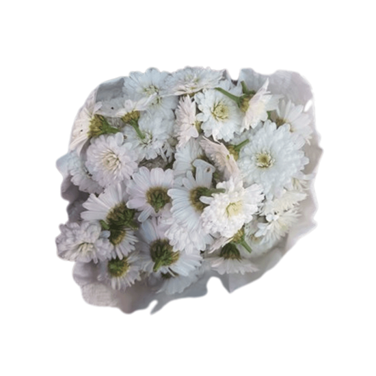 Imagen de Flor de margarita color blanco comestible en domo