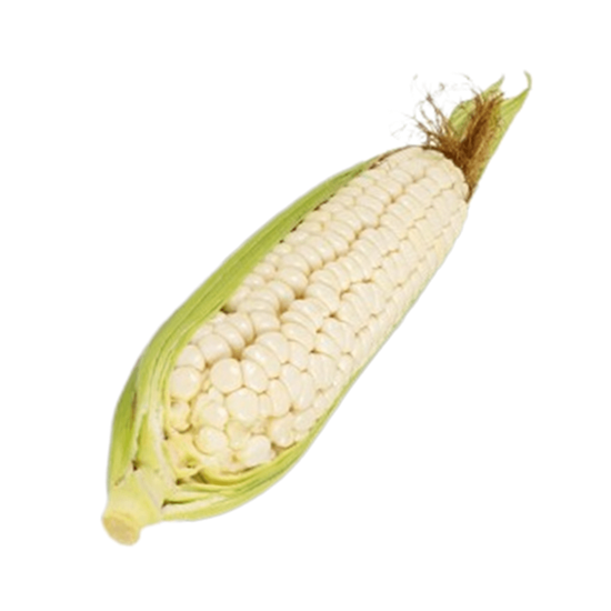 Imagen de Elote cacahuazintle tierno jumbo para hervir