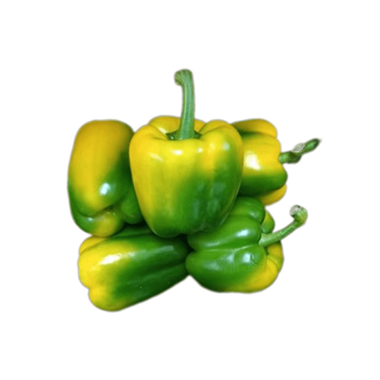 Imagen de Pimiento morrón bicolor