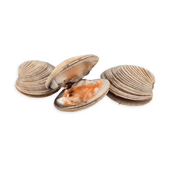 Imagen de Almeja Chirla