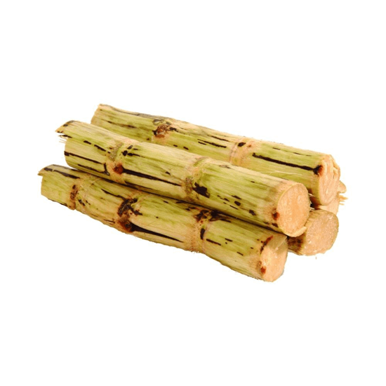 Imagen de Caña de azúcar blanca