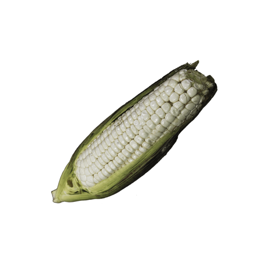 Imagen de Elote cacahuazintle mediano para asar