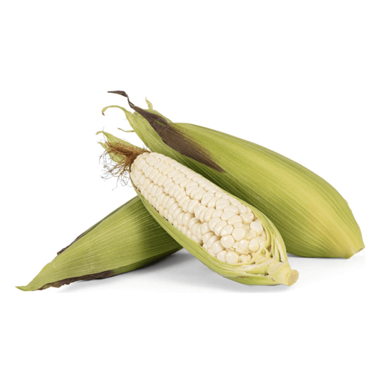 Imagen de Elote cacahuazintle jumbo para asar