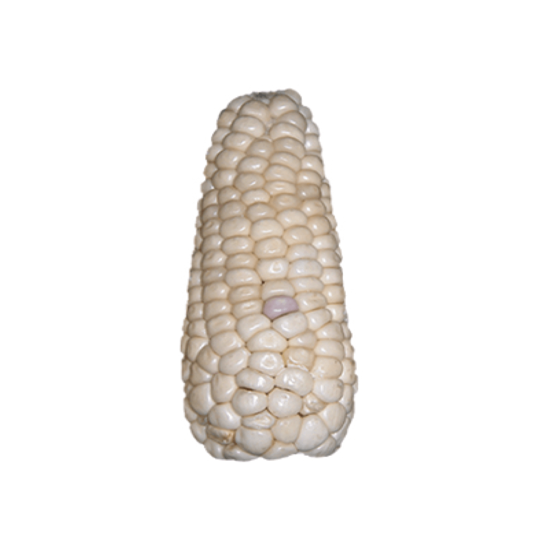 Imagen de Elote cacahuazintle mediano limpio (sin hojas) para asar