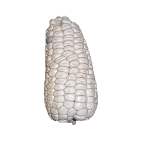 Imagen de Elote cacahuazintle jumbo limpio (sin hojas) para asar