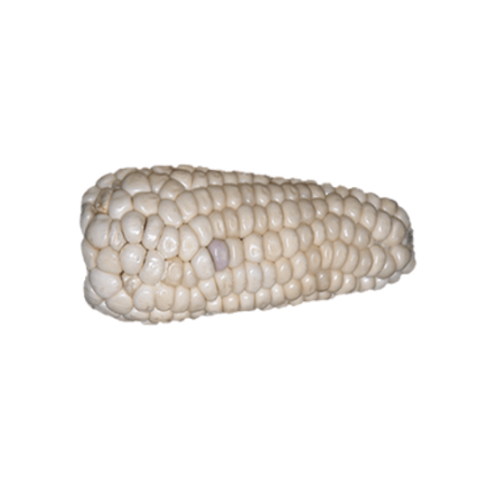Imagen de Elote cacahuazintle tierno mediano limpio (sin hojas) para hervir