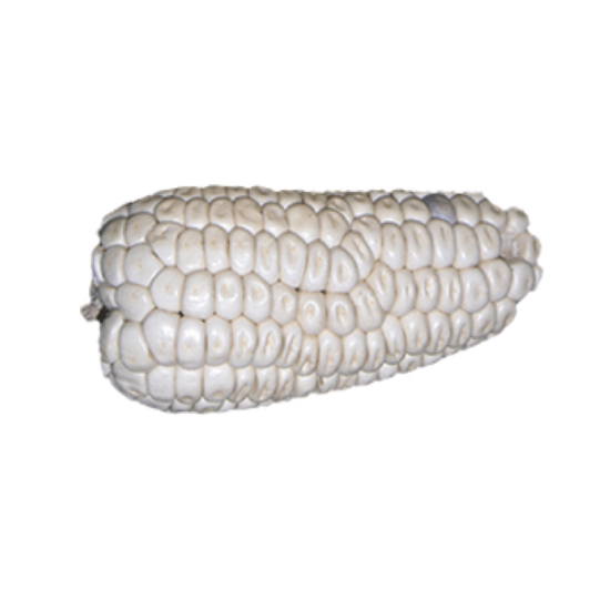 Imagen de Elote cacahuazintle tierno jumbo limpio (sin hojas) para hervir