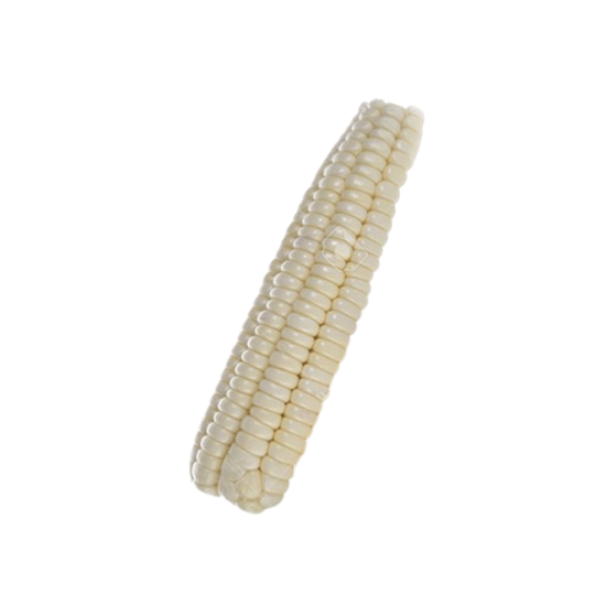 Imagen de Elote blanco limpio (sin hojas)