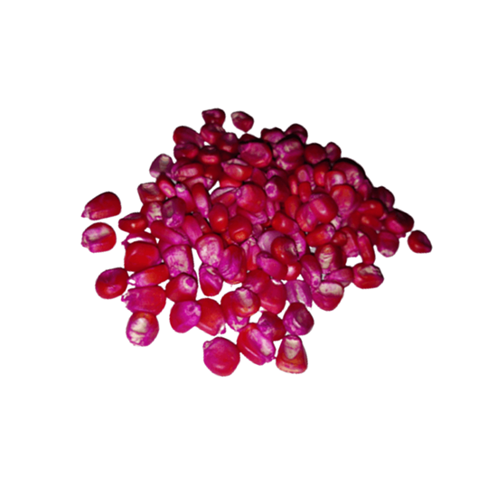 Imagen de Granos de maíz rojo deshidratado en domo 250g aprox.