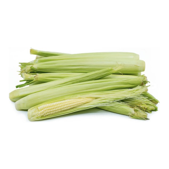 Imagen de Elote baby