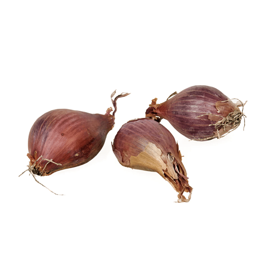Imagen de Echalote (shallot) nacional