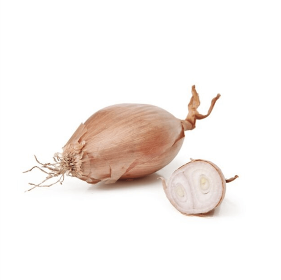 Imagen de Echalote (shallot) americano premium