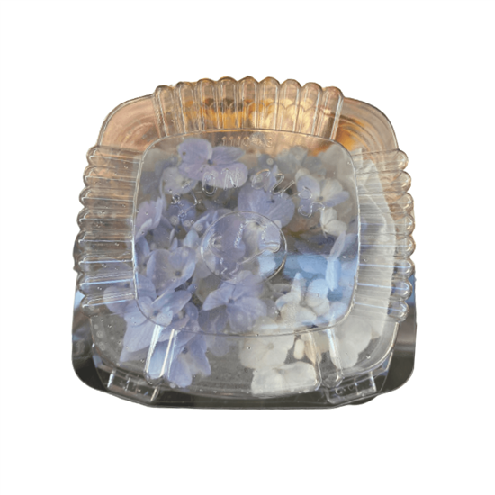 Imagen de Flor de hortensia azul comestible en domo
