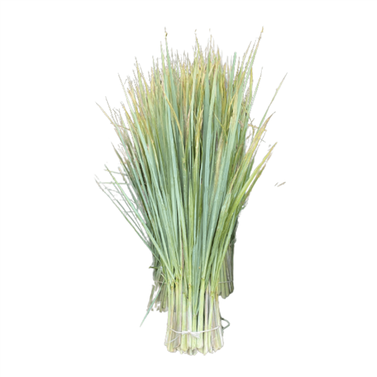 Imagen de Té de limón en manojo jumbo (2.5kg aprox.)