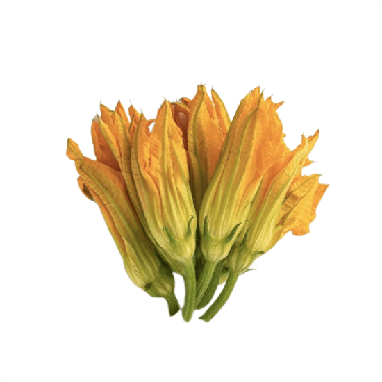 Imagen de Flor de calabaza premium suelta (sin tallo)