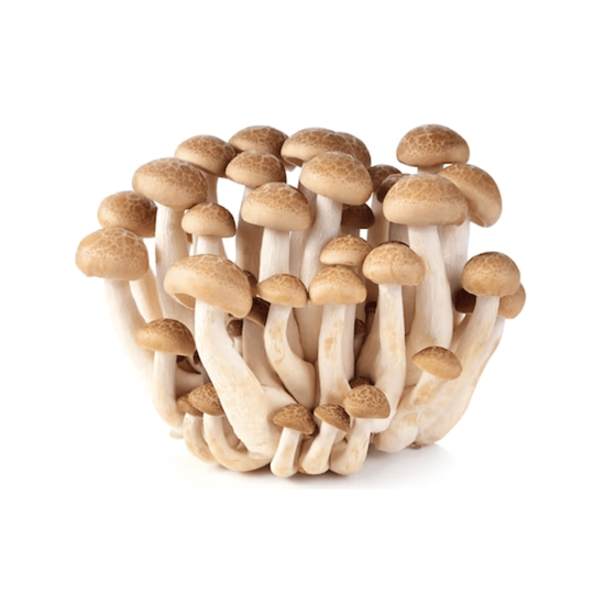 Imagen de Hongo brown shimeji (buna-shimeji) fresco 150g