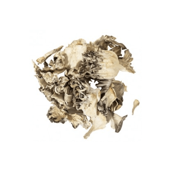 Imagen de Hongo Maitake deshidratado
