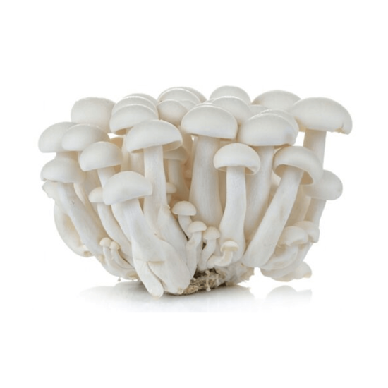 Imagen de Hongo white shimeji (bunapi-shimeji) fresco 150g