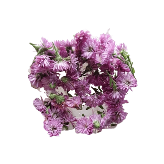 Imagen de Flor de margarita color lila comestible en domo