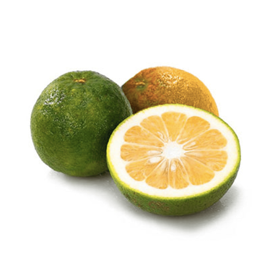 Imagen de Naranja agria