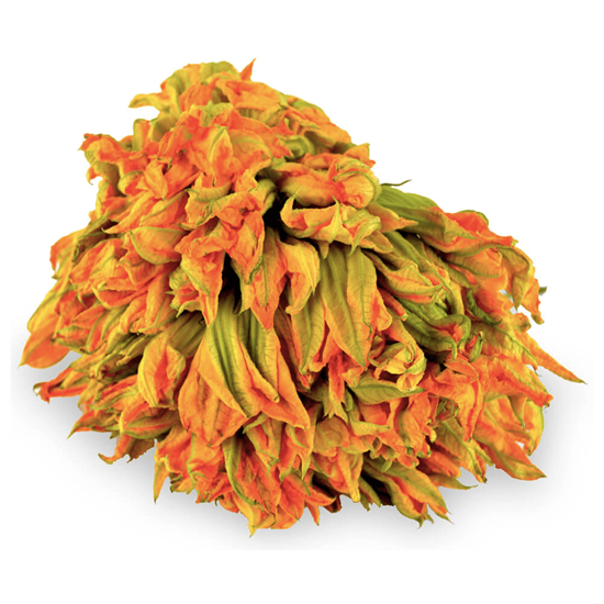 Imagen de Flor de calabaza