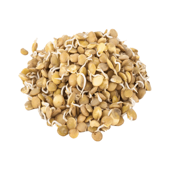 Imagen de Brotes de lenteja (germinado)