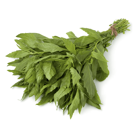 Imagen de Epazote en manojo grande (300g aprox.)