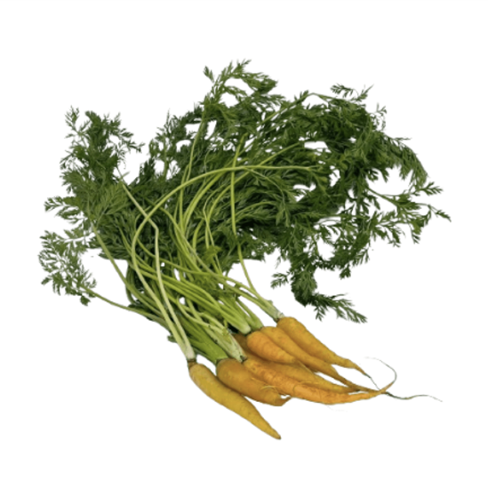 Imagen de Zanahoria rústica amarilla con rabo