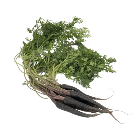 Imagen de Zanahoria rústica morada con rabo