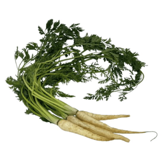 Imagen de Zanahoria rústica blanca con rabo