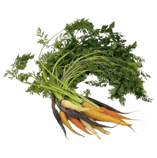 Imagen de Zanahoria rústica de colores con rabo