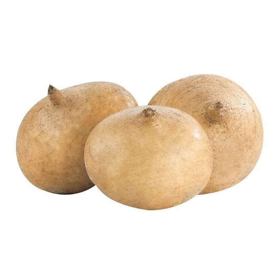 Imagen de Jícama grande (1kg aprox.)