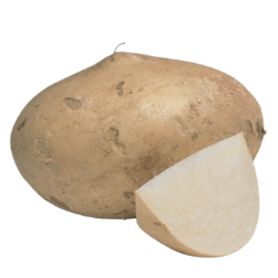 Imagen de Jícama jumbo (2.5kg aprox.)