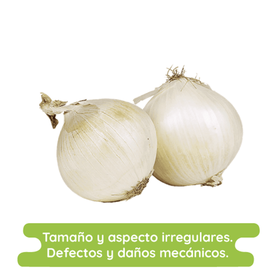 Imagen de Cebolla blanca económica sin pelar